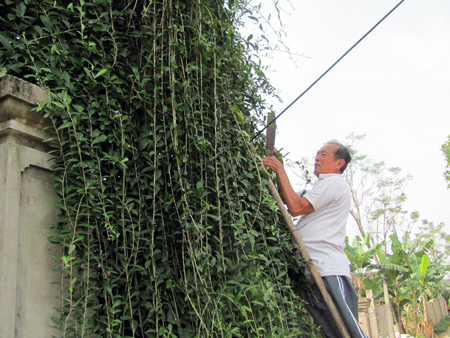 Làng khoa bảng và danh nhân nhiều đời ở Hà Tĩnh
